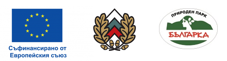 project logo1